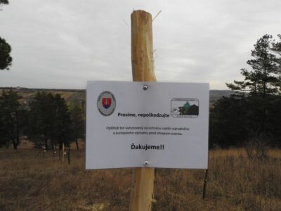 značka na tyči na poli so stromami a trávou